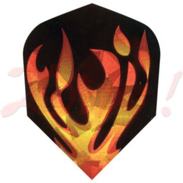 Hologram flight 1620