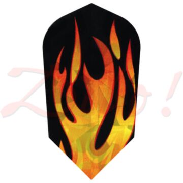 Hologram flight 1645