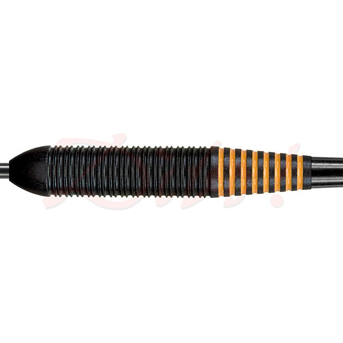 Target RVB Black - Raymond van Barneveld